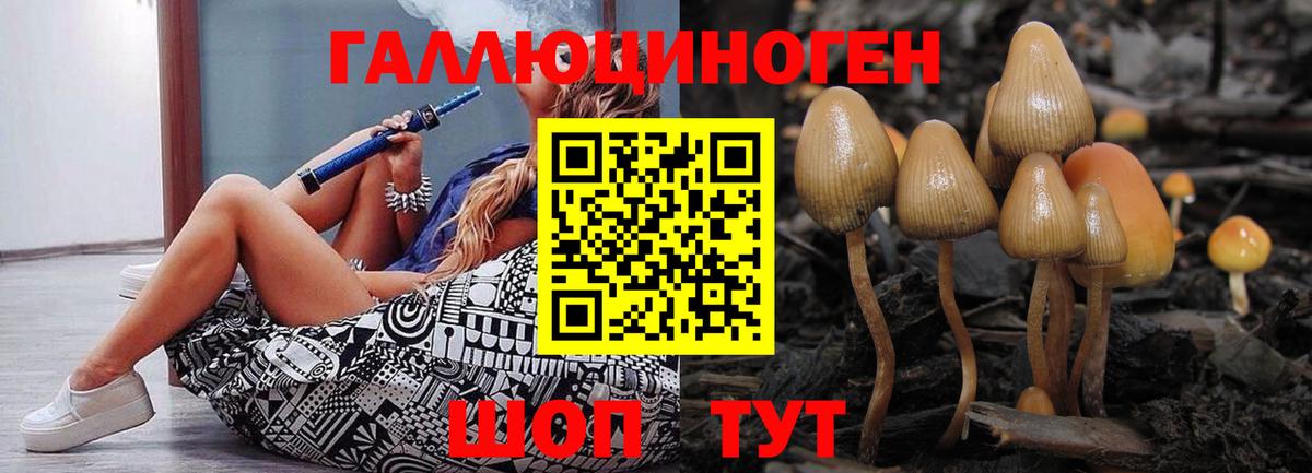Псилоцибиновые грибы мухоморы Алексеевка